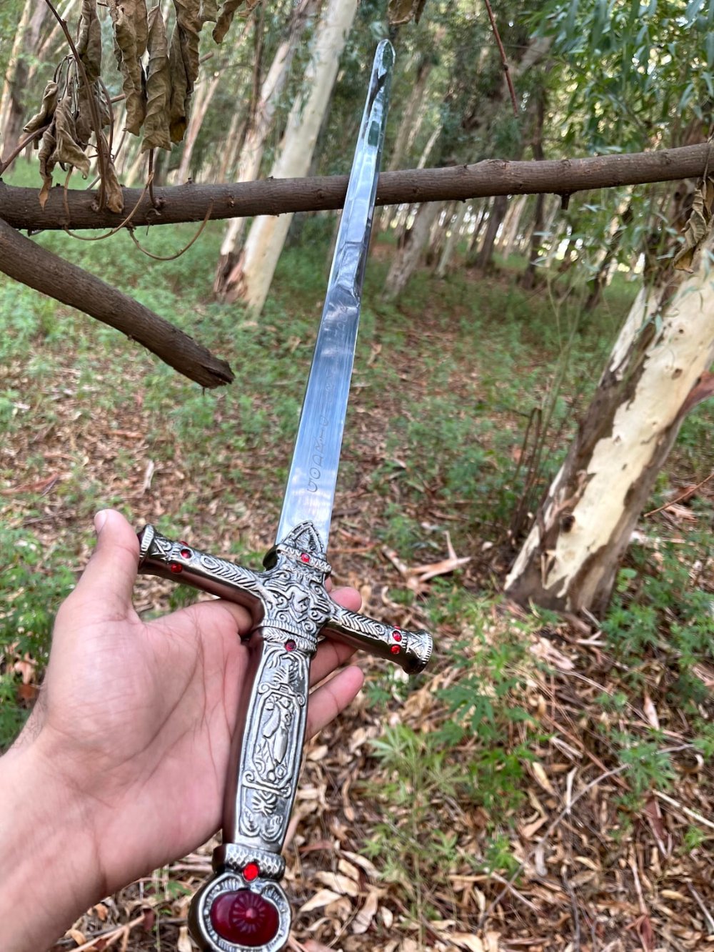 lion crest fantasy collectible sword design