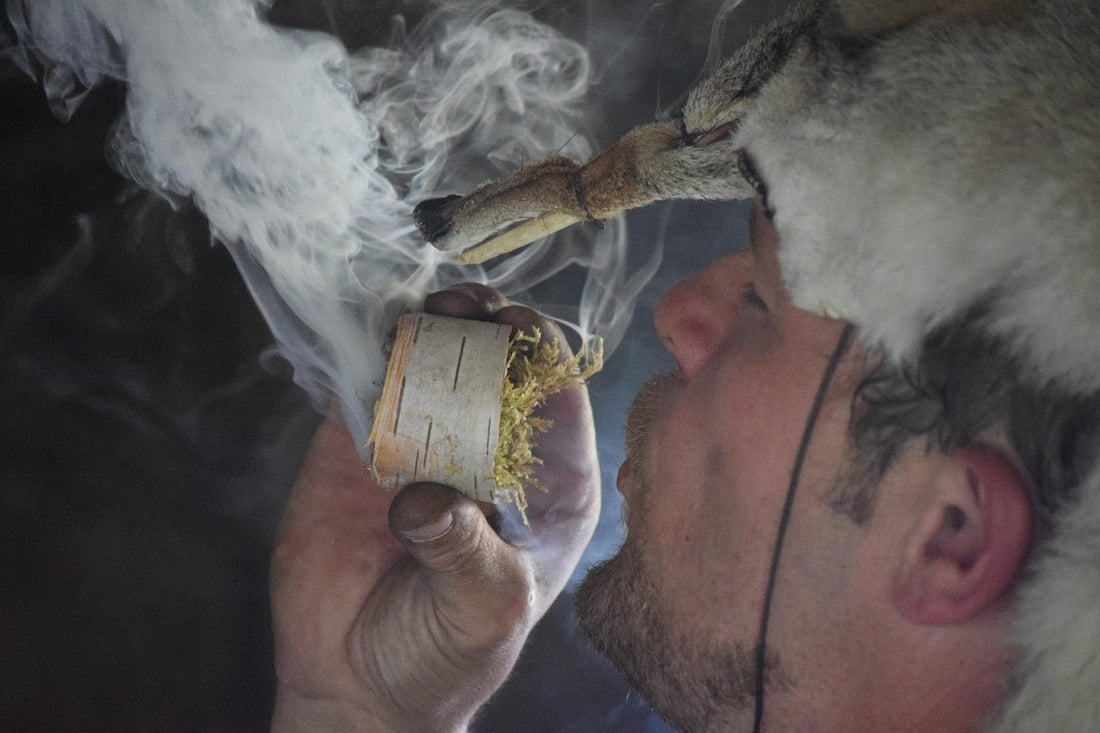 The Legacy of Ivar the Boneless: How He Shaped Viking History