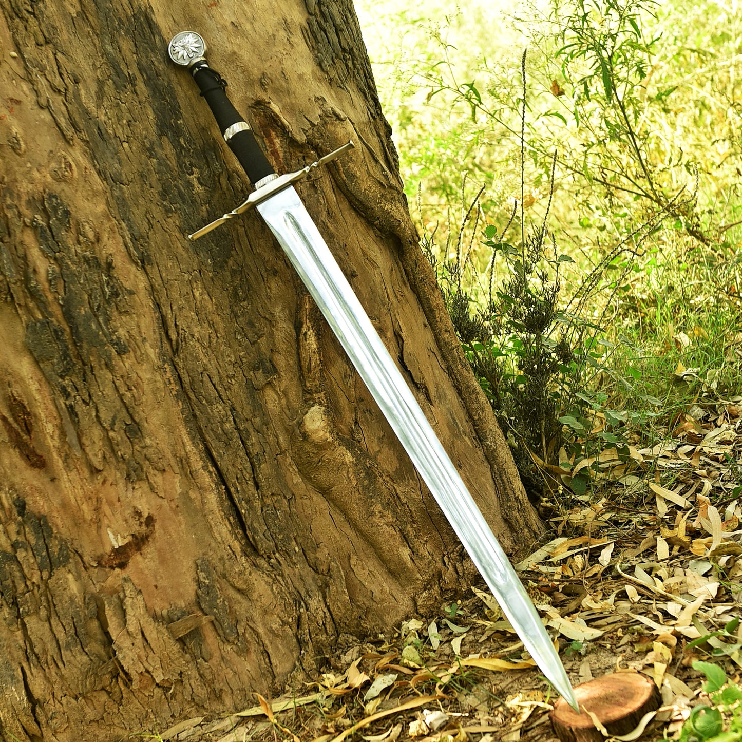 A medieval-style sword with a silver , black grip, and silver pommel is leaning against a large tree trunk in an outdoor forest setting with dry leaves on the ground.