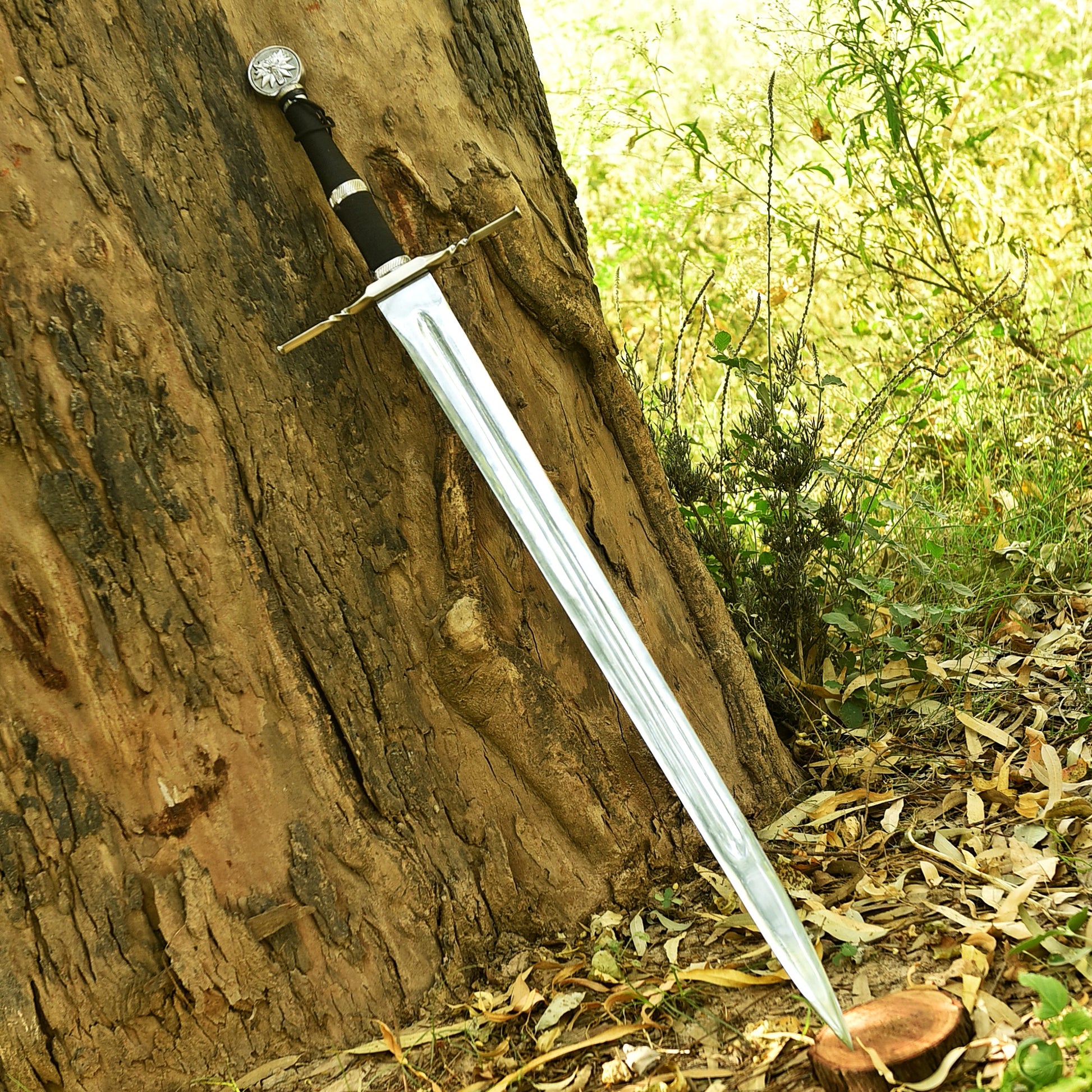 A medieval-style sword with a silver , black grip, and silver pommel is leaning against a large tree trunk in an outdoor forest setting with dry leaves on the ground.