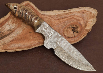 buy ashwood ram hunting knife which is customizable